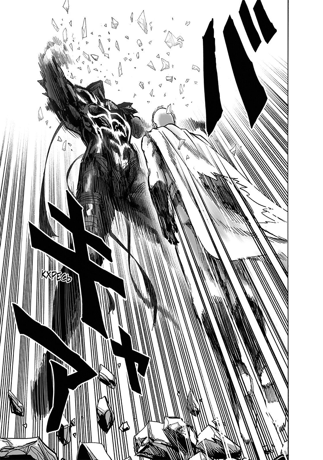 Страница 15 главы 207 манги Ванпанчмен / Onepunch-Man