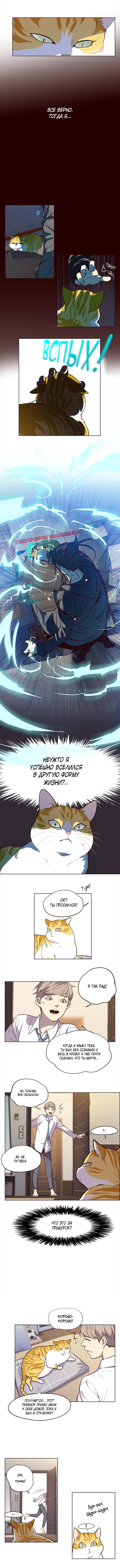 Страница 6 главы 1 манги Элисед / Eleceed