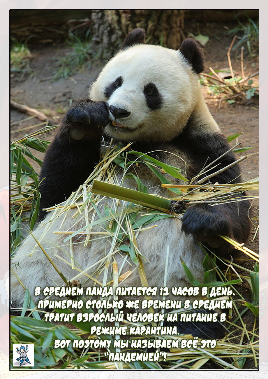 Страница 22 главы 270 манги Сказания о демонах и богах / Tales of Demons and Gods