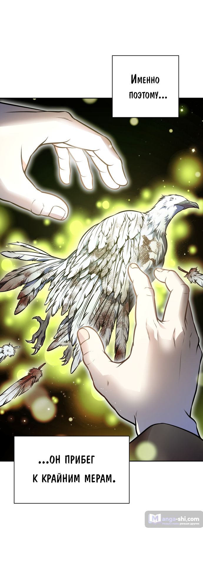 Страница 43 главы 215 манги Башня Бога / Tower of God