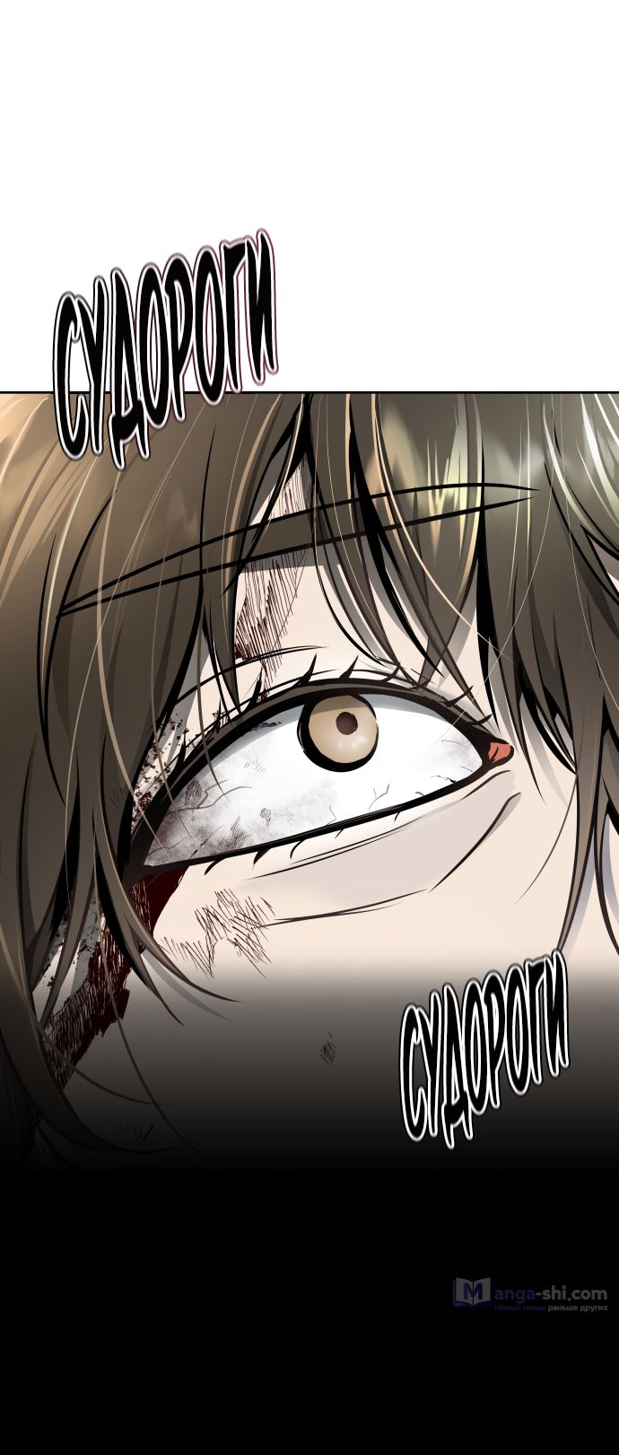 Страница 16 главы 196 манги Башня Бога / Tower of God