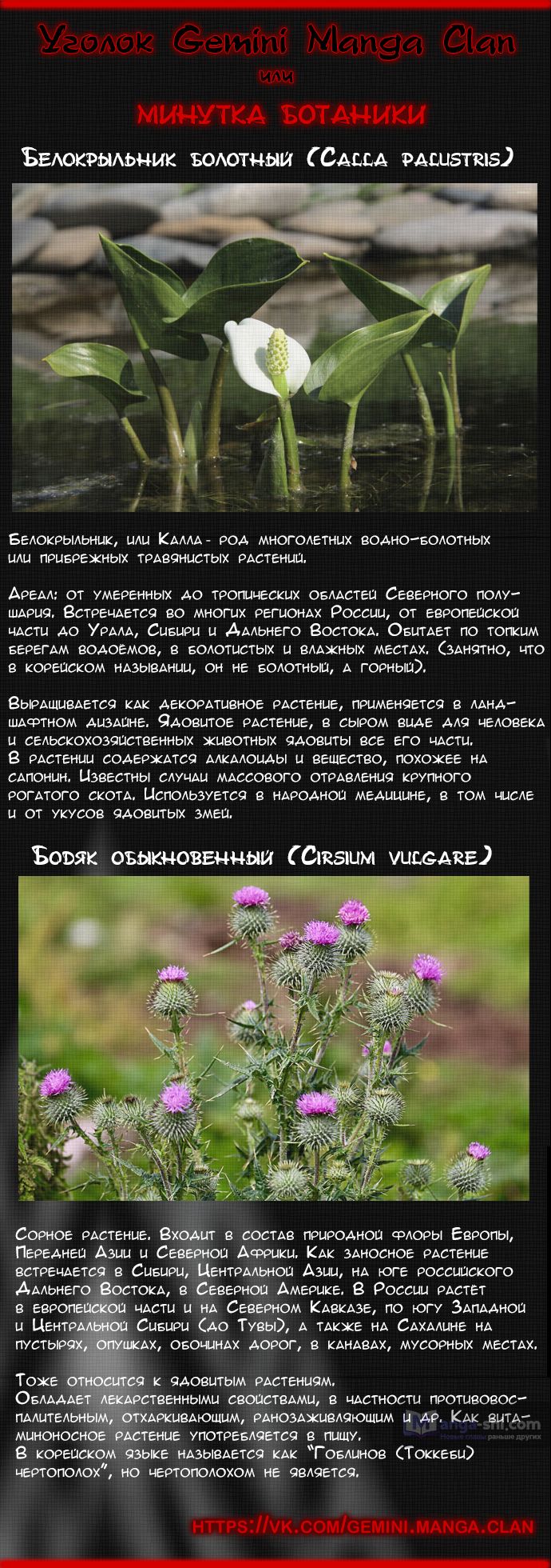 Страница 109 главы 182 манги Башня Бога / Tower of God