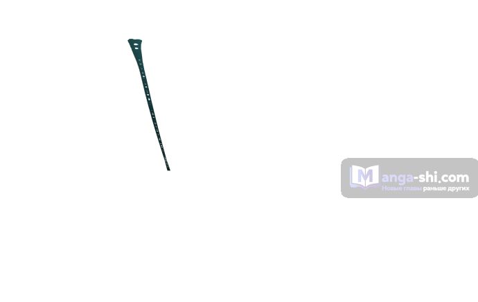 Страница 228 главы 219 манги Башня Бога / Tower of God