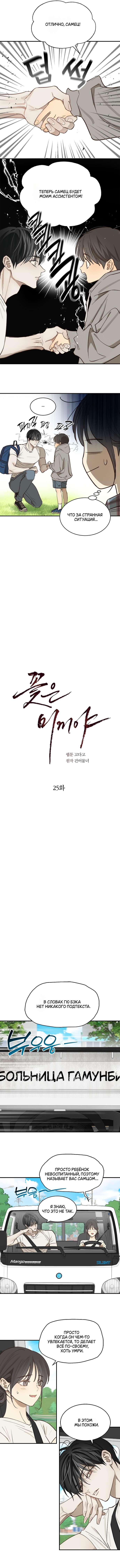 Страница 5 главы 25 манги Цветы - лишь приманка / The flower is just bait