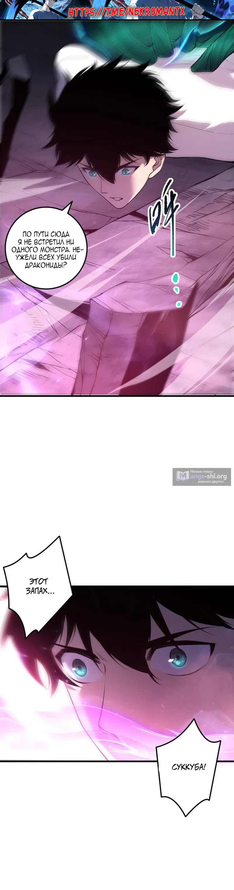 Страница 13 главы 219 манги Некромант — я катастрофа / Necromancer! I Am a Disaster
