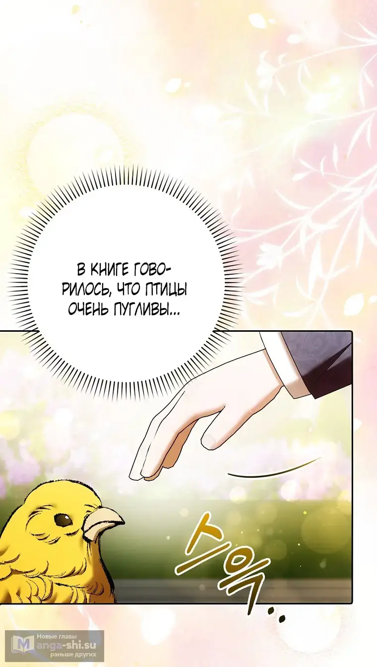 Страница 36 главы 34 манги Мое желание - две отдельные кровати / My Wish Is Two Separate Beds