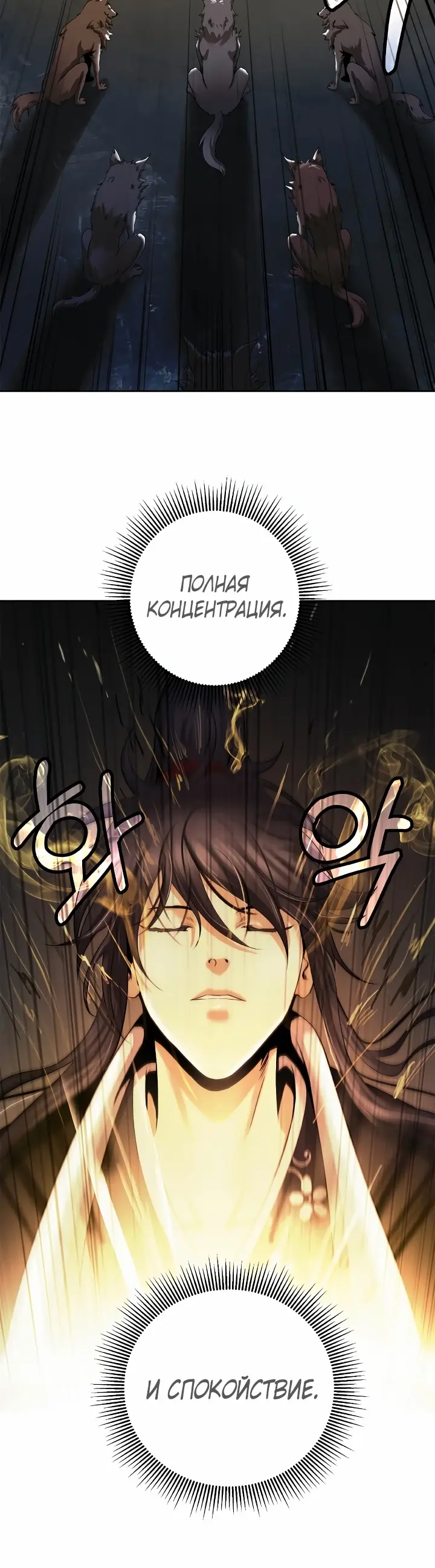 Страница 17 главы 87 манги История перерождения в Тигра / The story of the reincarnation of the Tiger