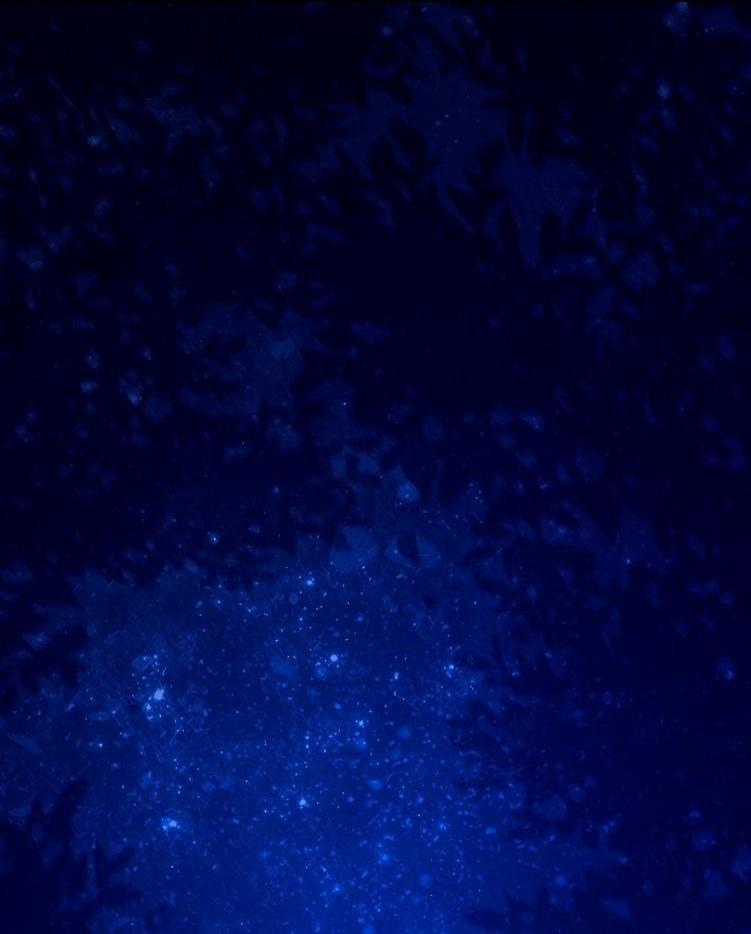 Страница 41 главы 111 манги Незначительный персонаж собственной истории / The Novel's Extra