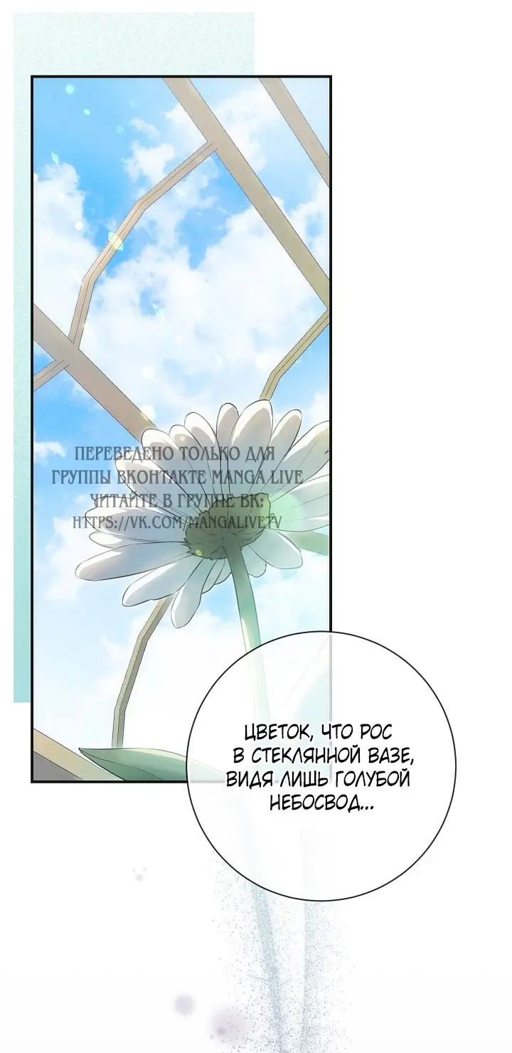 Страница 60 главы 108 манги Ещё раз в свет / Once Again, Into the Light