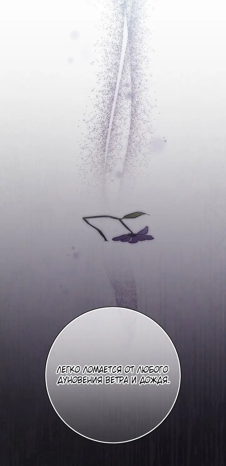 Страница 61 главы 108 манги Ещё раз в свет / Once Again, Into the Light