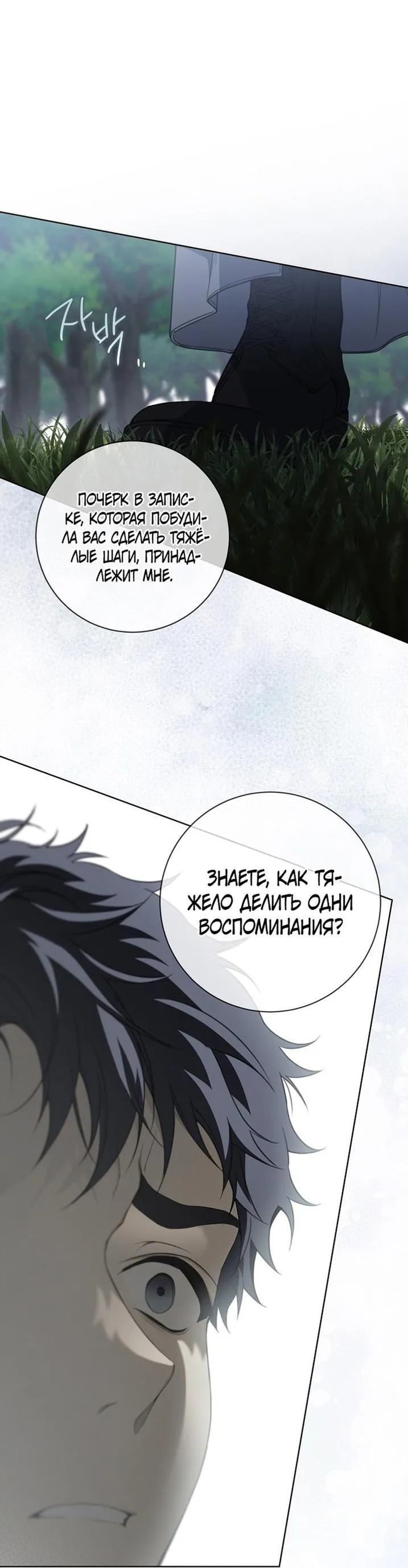 Страница 6 главы 88 манги Ещё раз в свет / Once Again, Into the Light