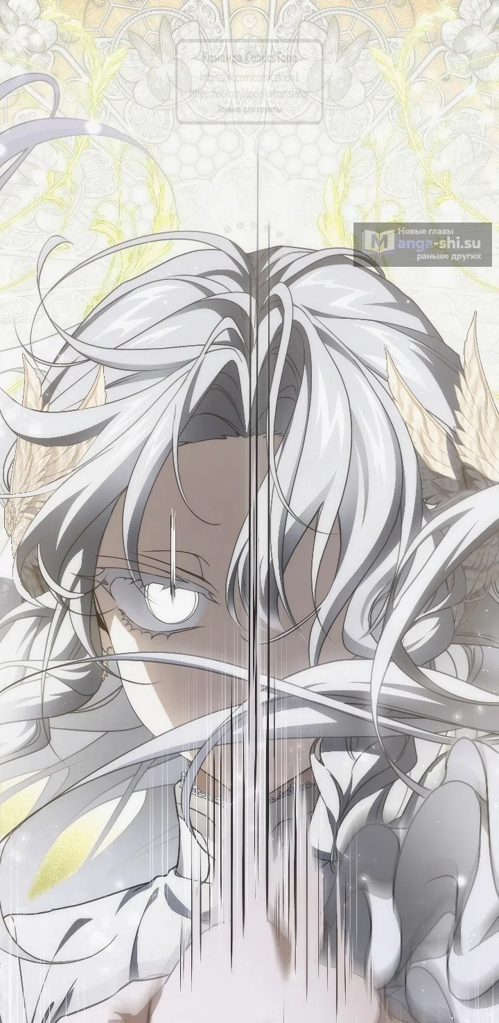 Страница 13 главы 114 манги Ещё раз в свет / Once Again, Into the Light