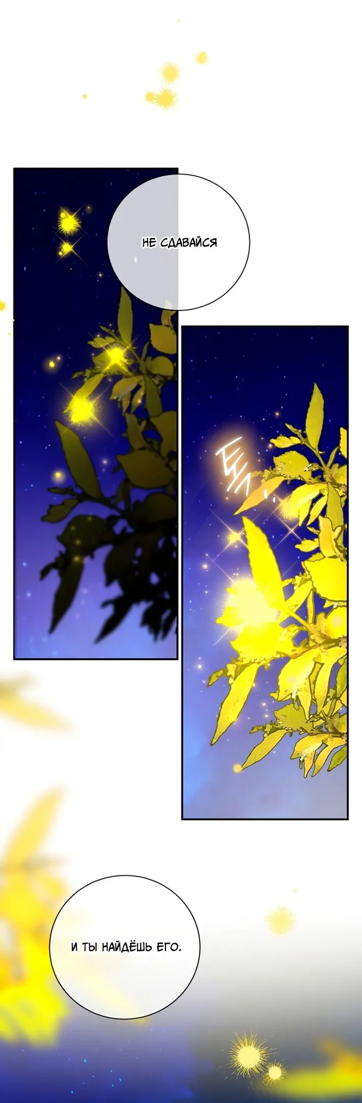 Страница 39 главы 73 манги Ещё раз в свет / Once Again, Into the Light