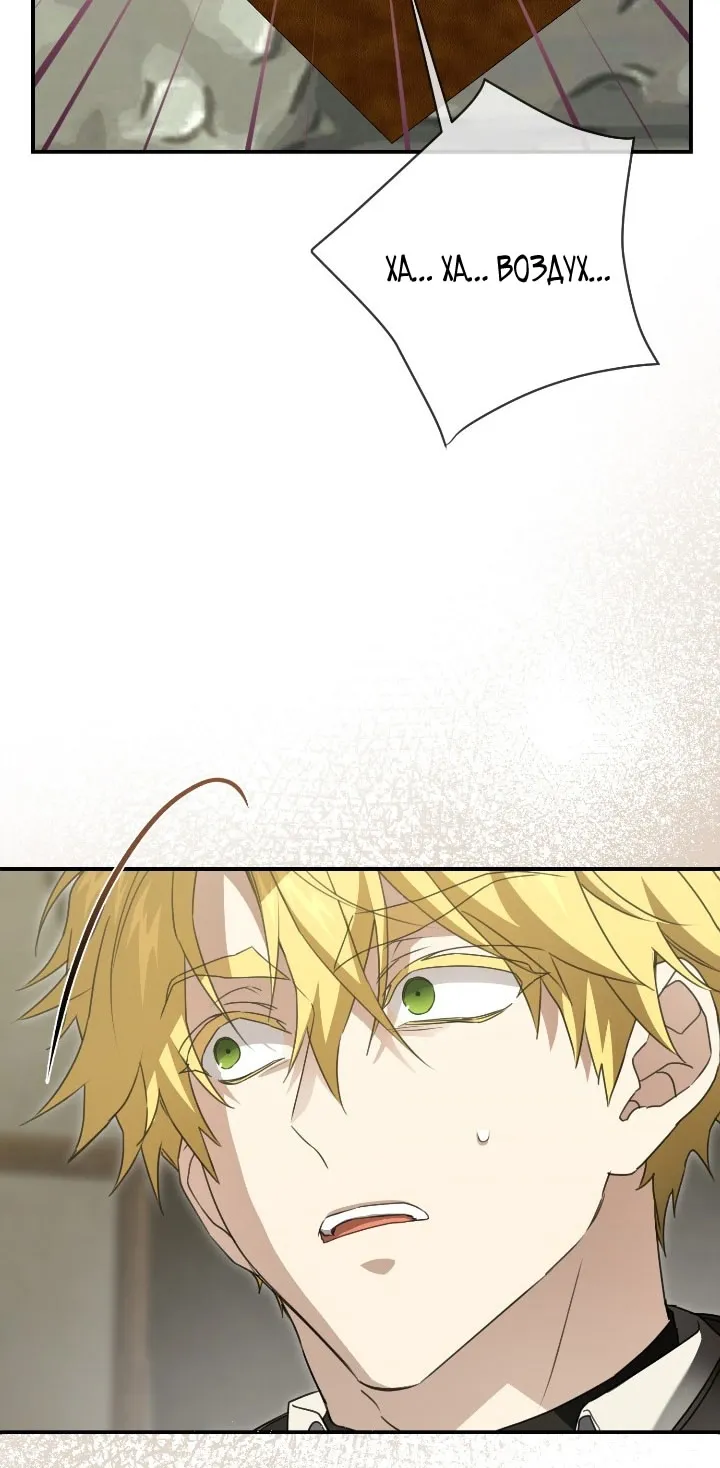 Страница 5 главы 110 манги Ещё раз в свет / Once Again, Into the Light