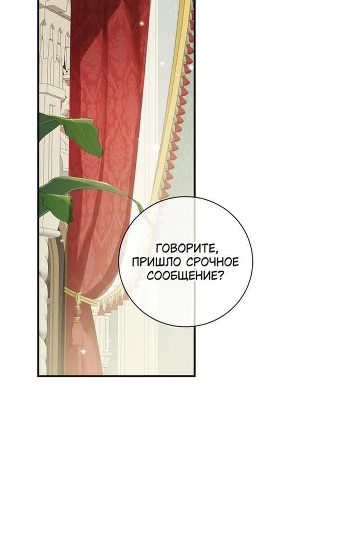 Страница 8 главы 86 манги Ещё раз в свет / Once Again, Into the Light