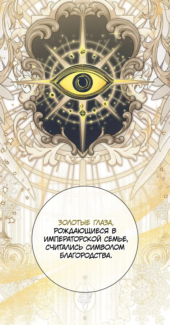 Страница 15 главы 113 манги Ещё раз в свет / Once Again, Into the Light