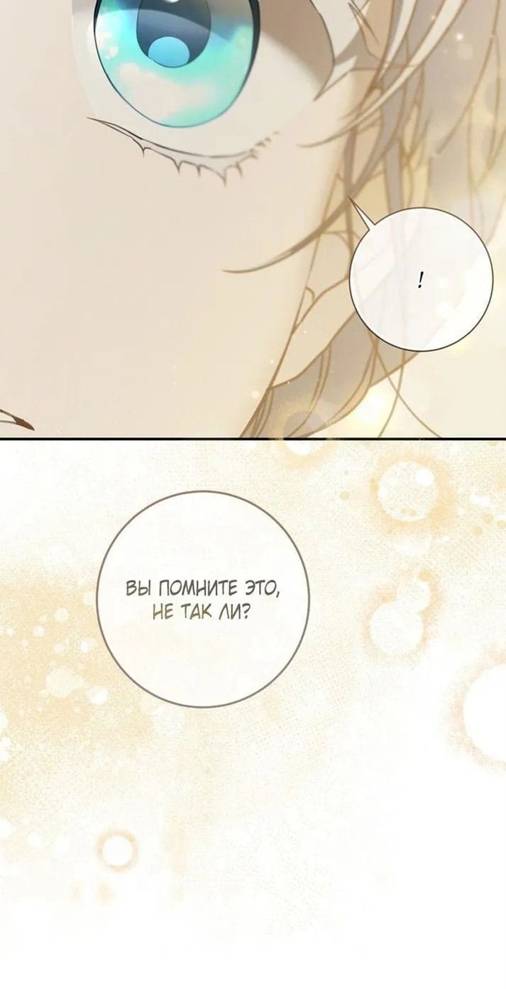 Страница 41 главы 95 манги Ещё раз в свет / Once Again, Into the Light
