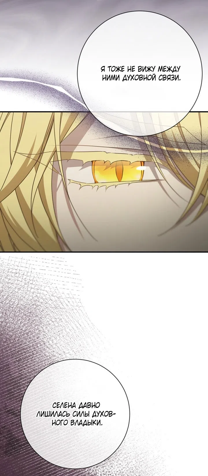 Страница 28 главы 111 манги Ещё раз в свет / Once Again, Into the Light