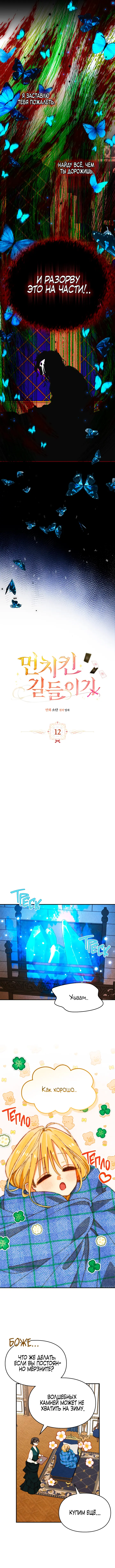 Страница 5 главы 12 манги Приручение имбового героя / Taming an imbalanced hero