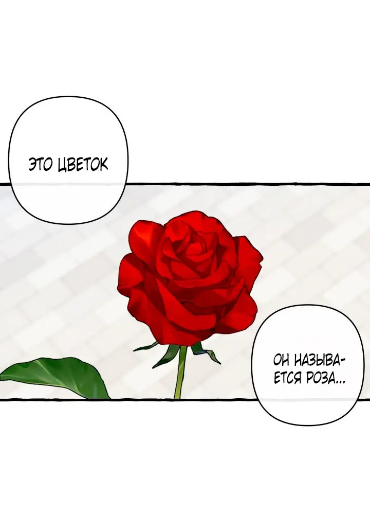 Страница 27 главы 28 манги Однажды в сказке / Once upon a time