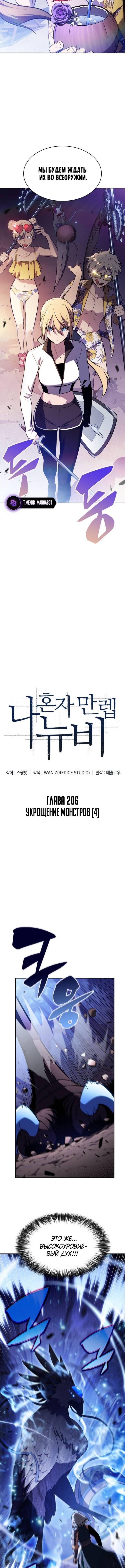 Страница 4 главы 206 манги Нуб максимального уровня / I'm the Max-Level Newbie