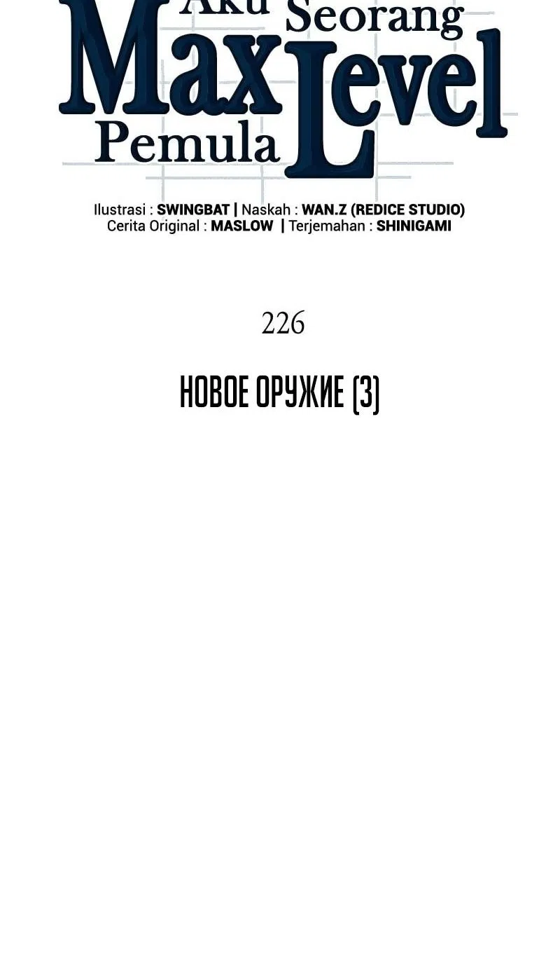 Страница 13 главы 226 манги Нуб максимального уровня / I'm the Max-Level Newbie