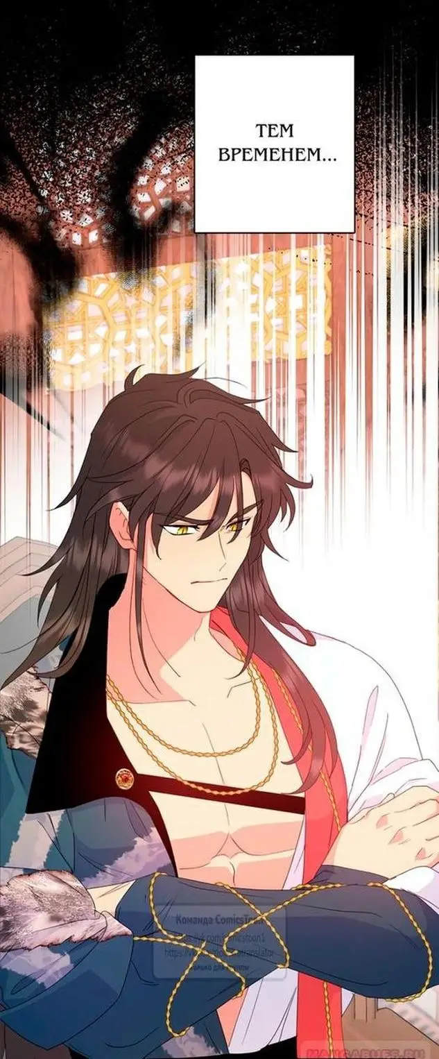 Страница 48 главы 82 манги У меня появился муж, и теперь мне нужно зарабатывать деньги / Forget My Husband, I'll Go Make Money