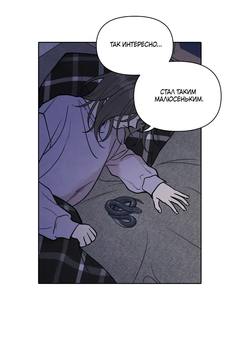 Страница 95 главы 1 манги По пути домой я подобрала змею / I Picked Up a Snake on My Way Home From Work
