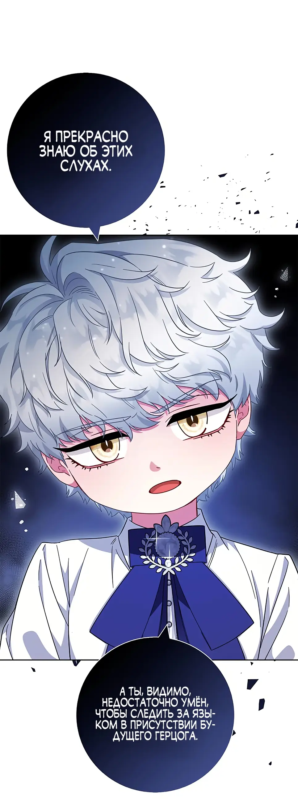 Страница 10 главы 14 манги Я стала матерью героя с трагичным концом / I Became the Mother of the Evil Male Lead