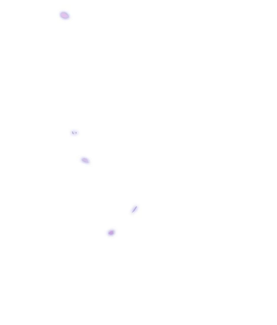 Страница 73 главы 66 манги Серена / Serena