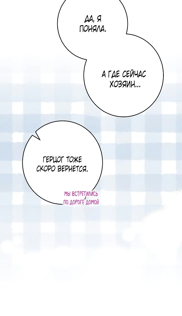 Страница 10 главы 33 манги Одержимость герцога своей женой / The Duke's Wife Obsession