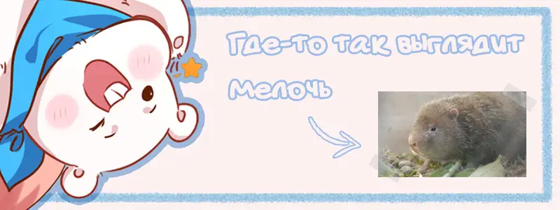 Страница 12 главы 85 манги Изменщик должен умереть / Cheating Men Must Die