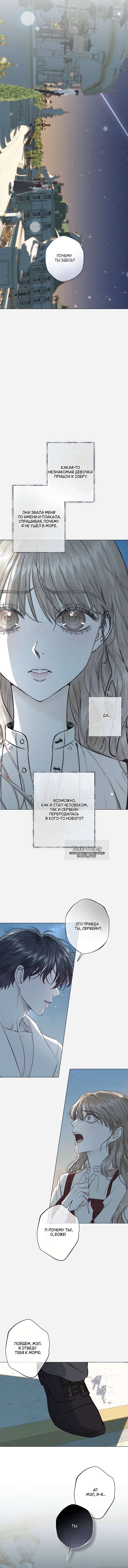 Страница 5 главы 29 манги Русал, застрявший в моем озере / The Merman Trapped in My Lake