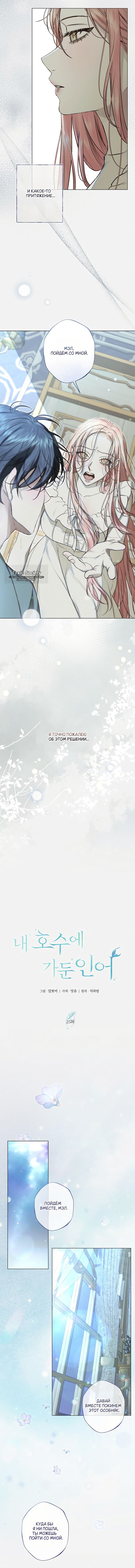 Страница 6 главы 25 манги Русал, застрявший в моем озере / The Merman Trapped in My Lake