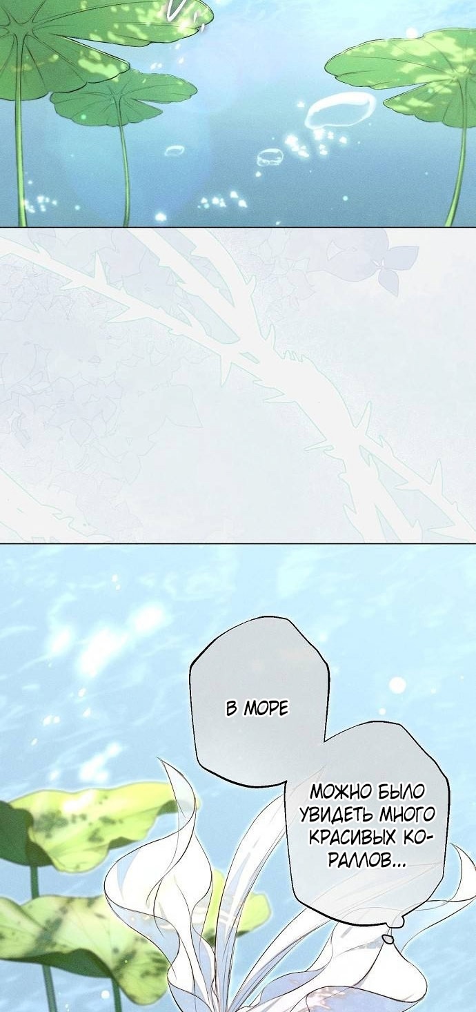 Страница 28 главы 27 манги Русал, застрявший в моем озере / The Merman Trapped in My Lake