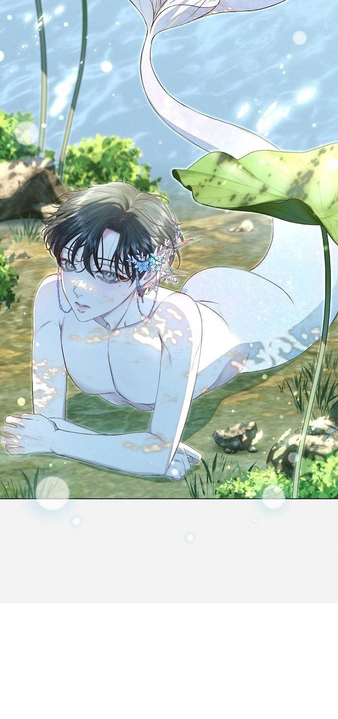 Страница 29 главы 27 манги Русал, застрявший в моем озере / The Merman Trapped in My Lake