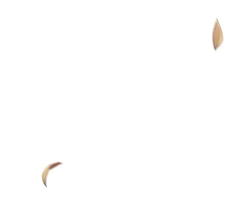 Страница 68 главы 114 манги Возвращение безумного демона / Return of the Mad Demon