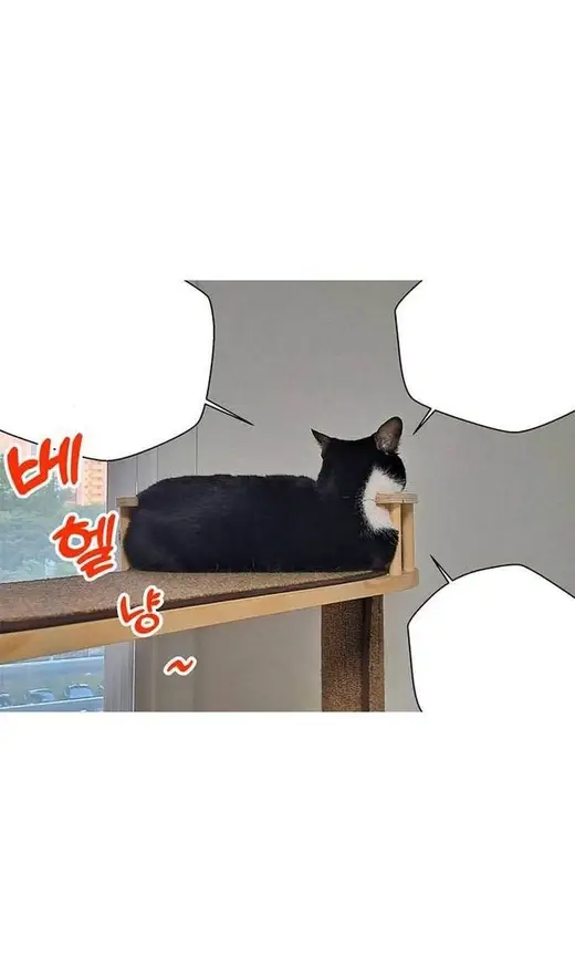 Страница 172 главы 111 манги Выживая в игре за варвара / Surviving the Game as a Barbarian