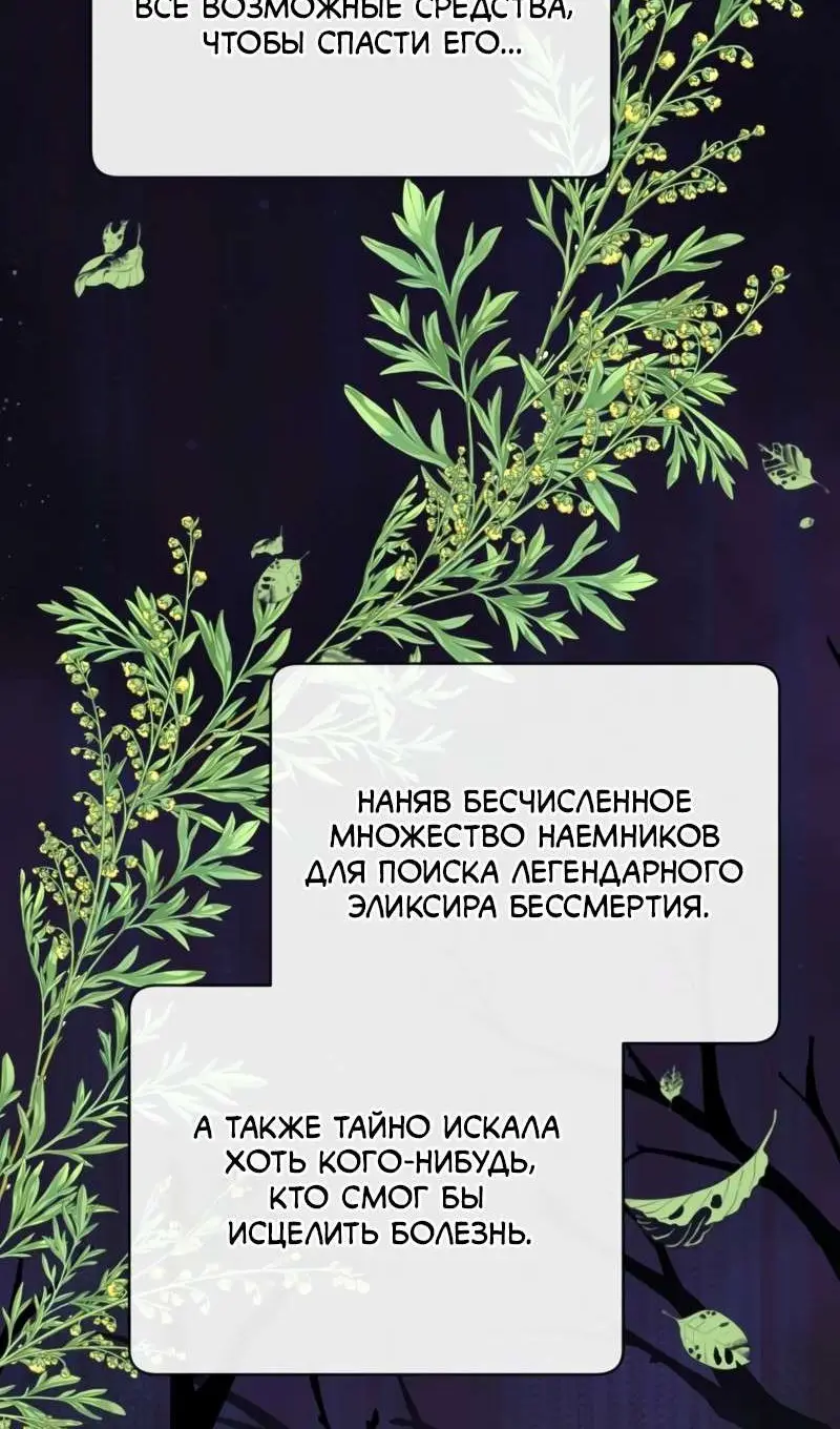 Страница 5 главы 204 манги Возвращение героя максимального уровня / The Max Level Hero Strikes Back