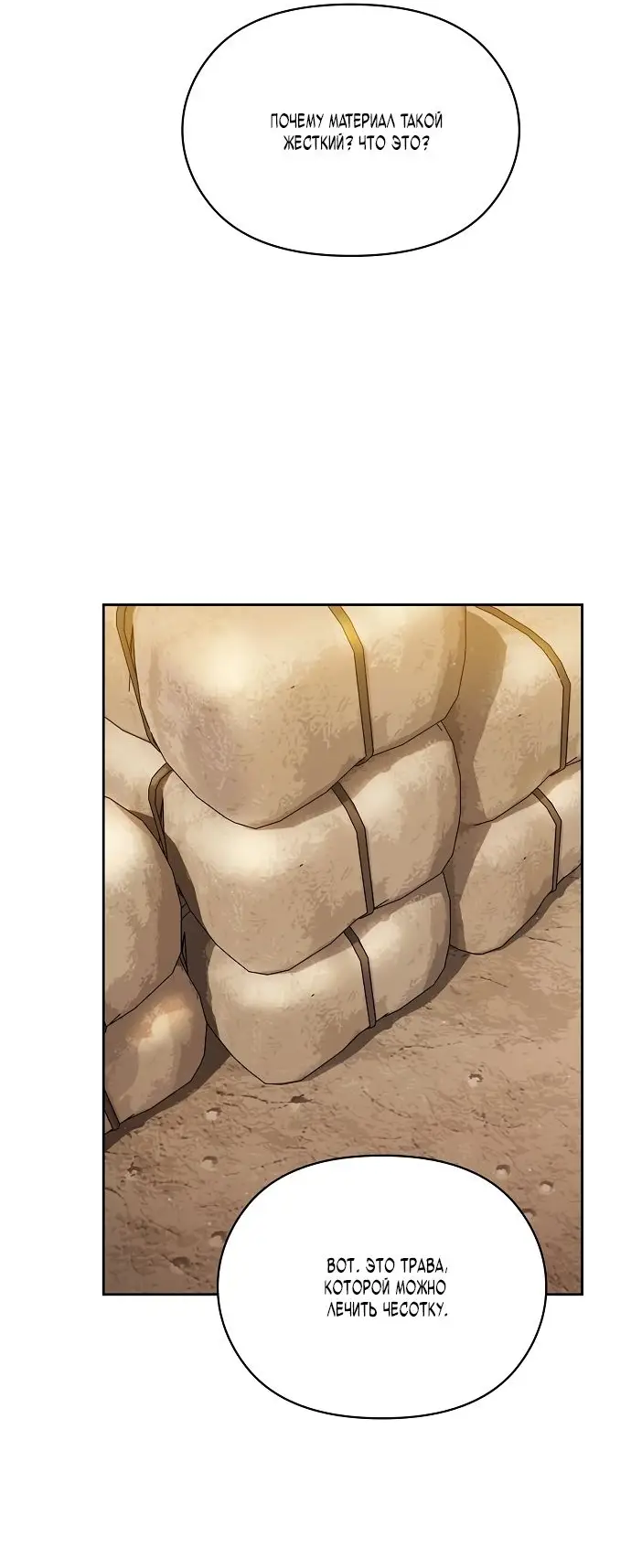 Страница 46 главы 17 манги Цивилизация мудрецов / Nebula's Civilization