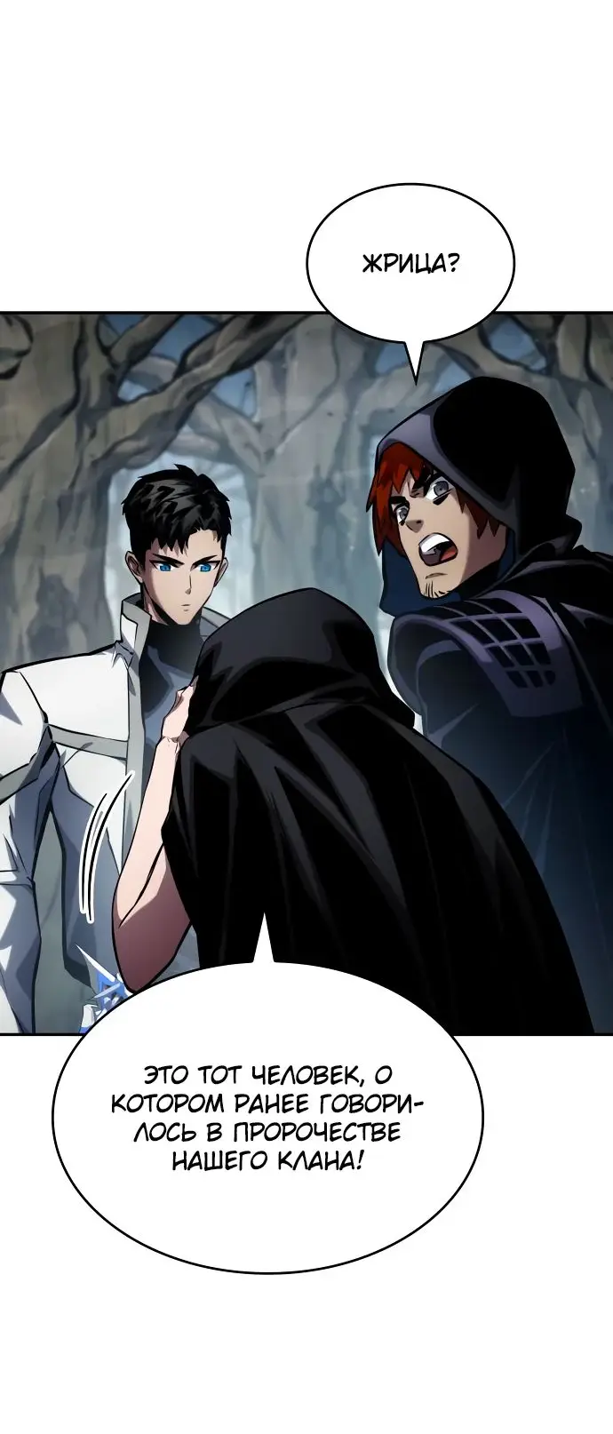 Страница 95 главы 119 манги Мой сольный бесконечный рост / Boundless Ascension