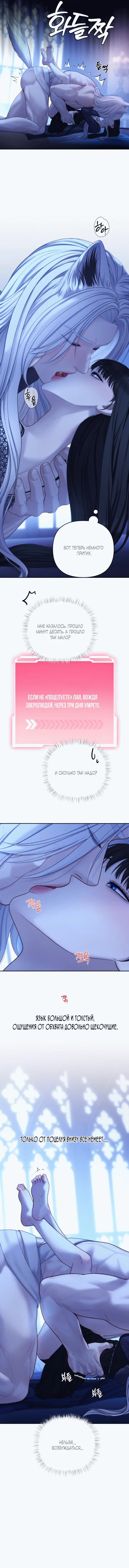 Страница 12 главы 2 манги Как приручить волка / How to Tame a Wolf