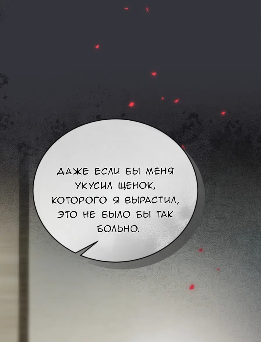 Страница 29 главы 64 манги Доберман / Doberman