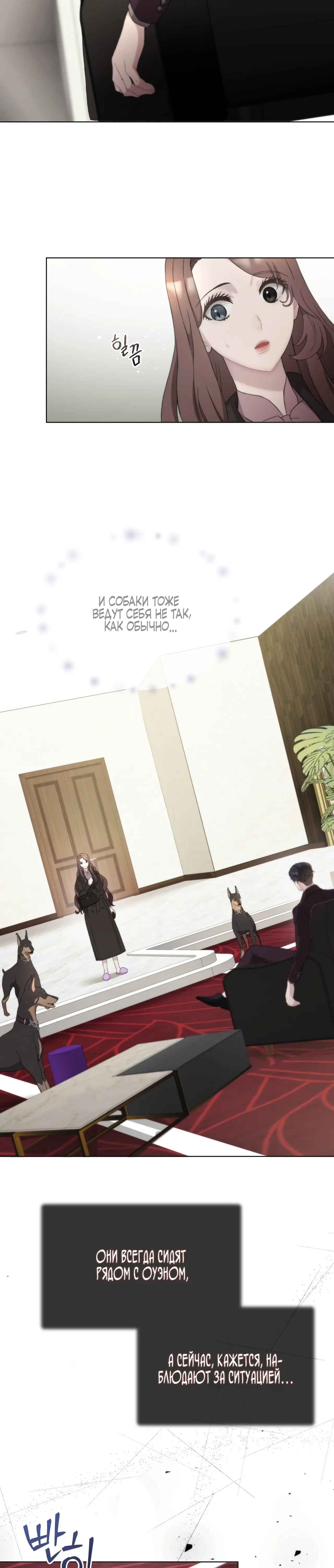 Страница 31 главы 17 манги Доберман / Doberman