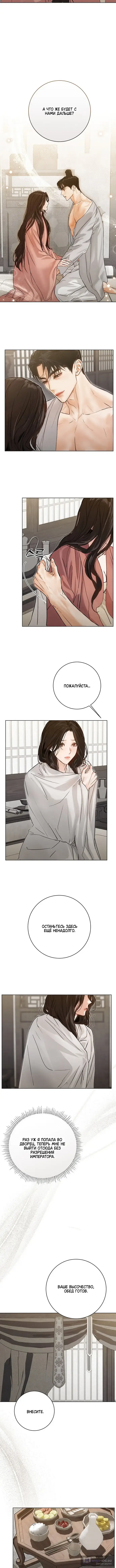 Страница 8 главы 16 манги Канун новолуния / Dreamlike Illusion