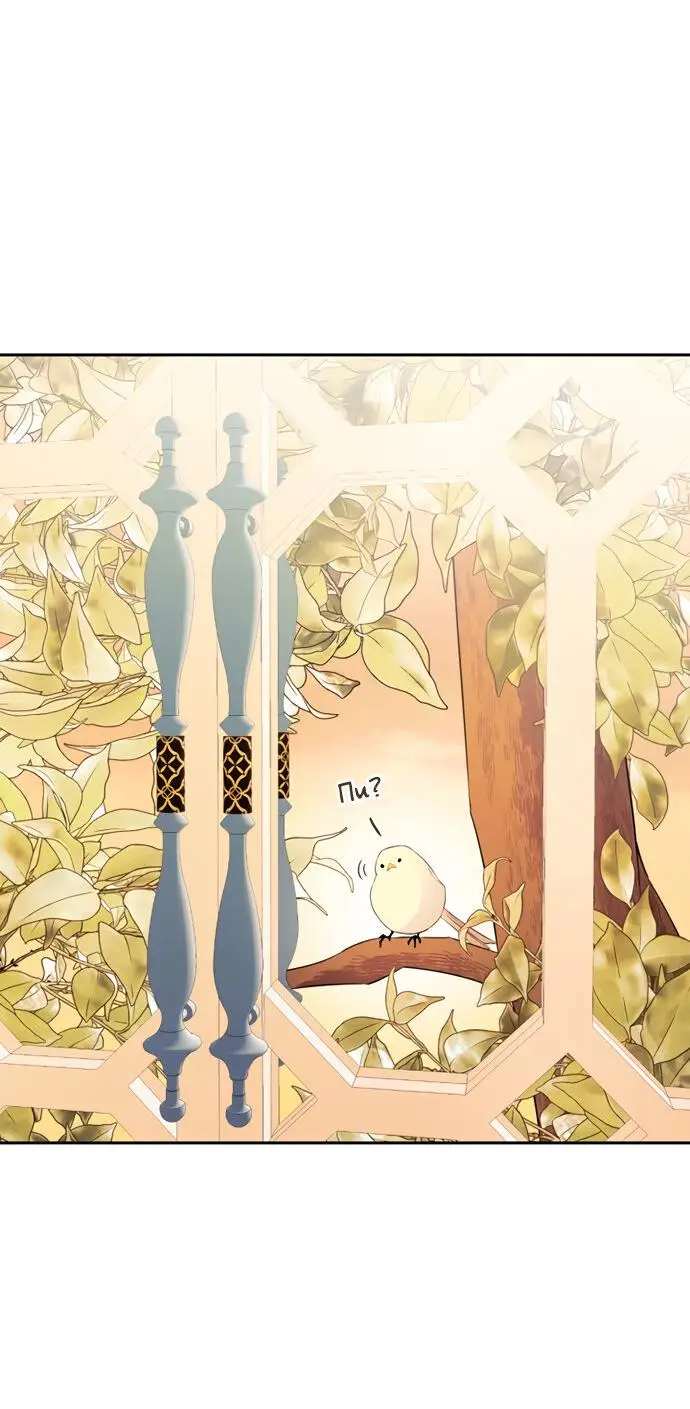 Страница 12 главы 5 манги Спасти распутного зверя / To save the slutty beast