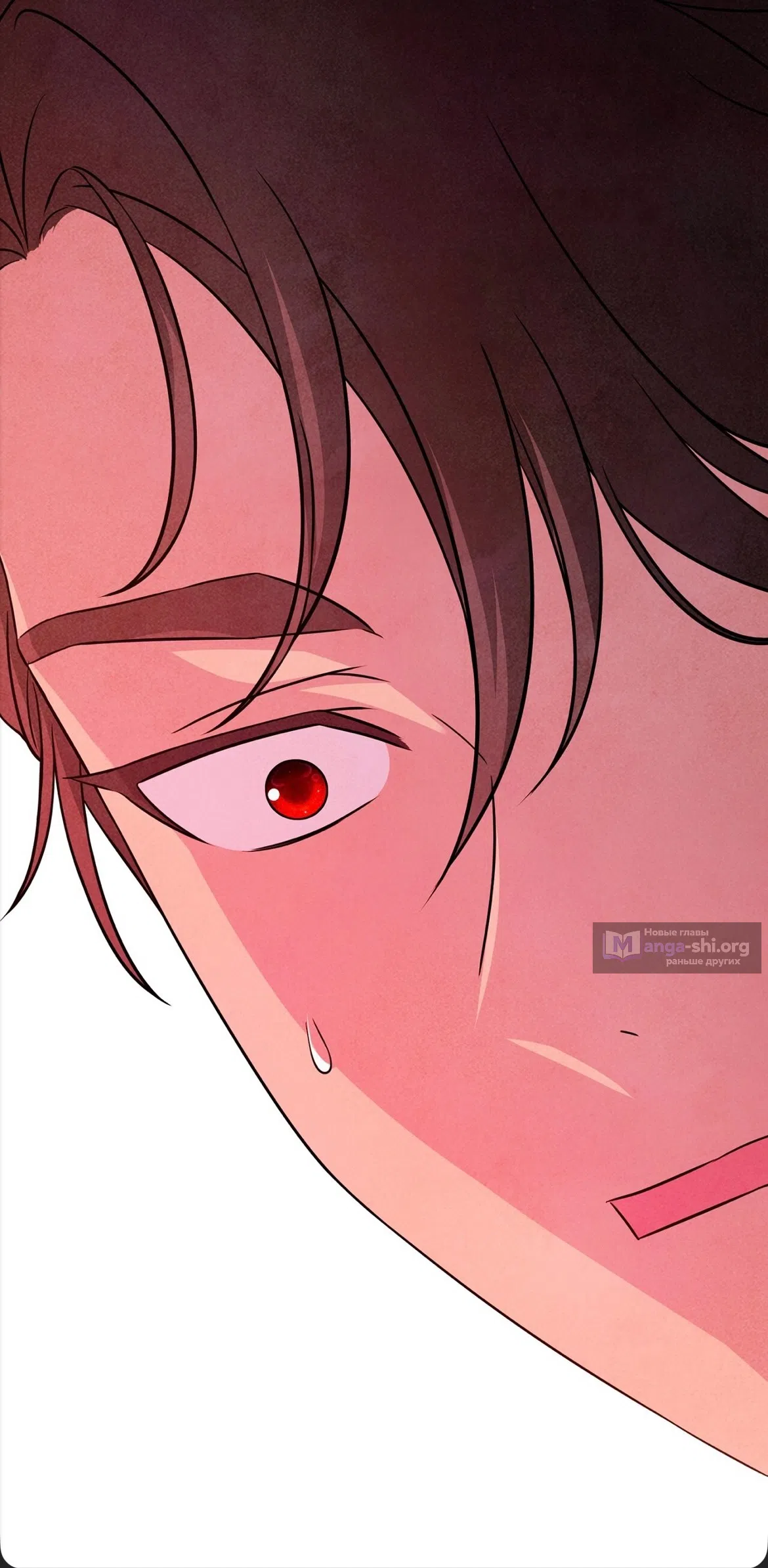 Страница 17 главы 32 манги Мой хозяин не кусает людей! / Our master doesn't bite people!