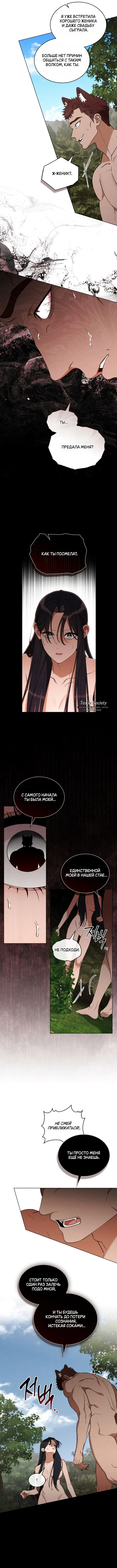 Страница 6 главы 17 манги Волчий жених / Wolf fiance