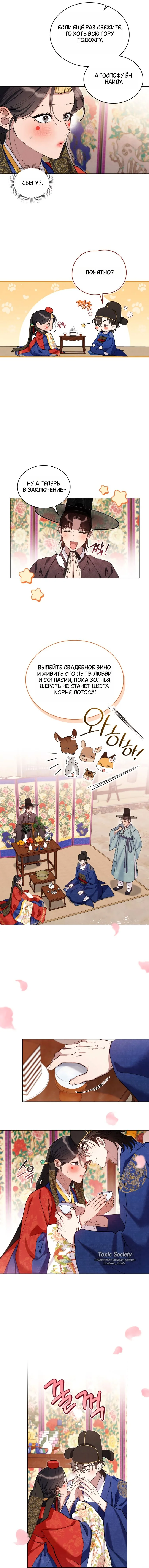 Страница 7 главы 15 манги Волчий жених / Wolf fiance