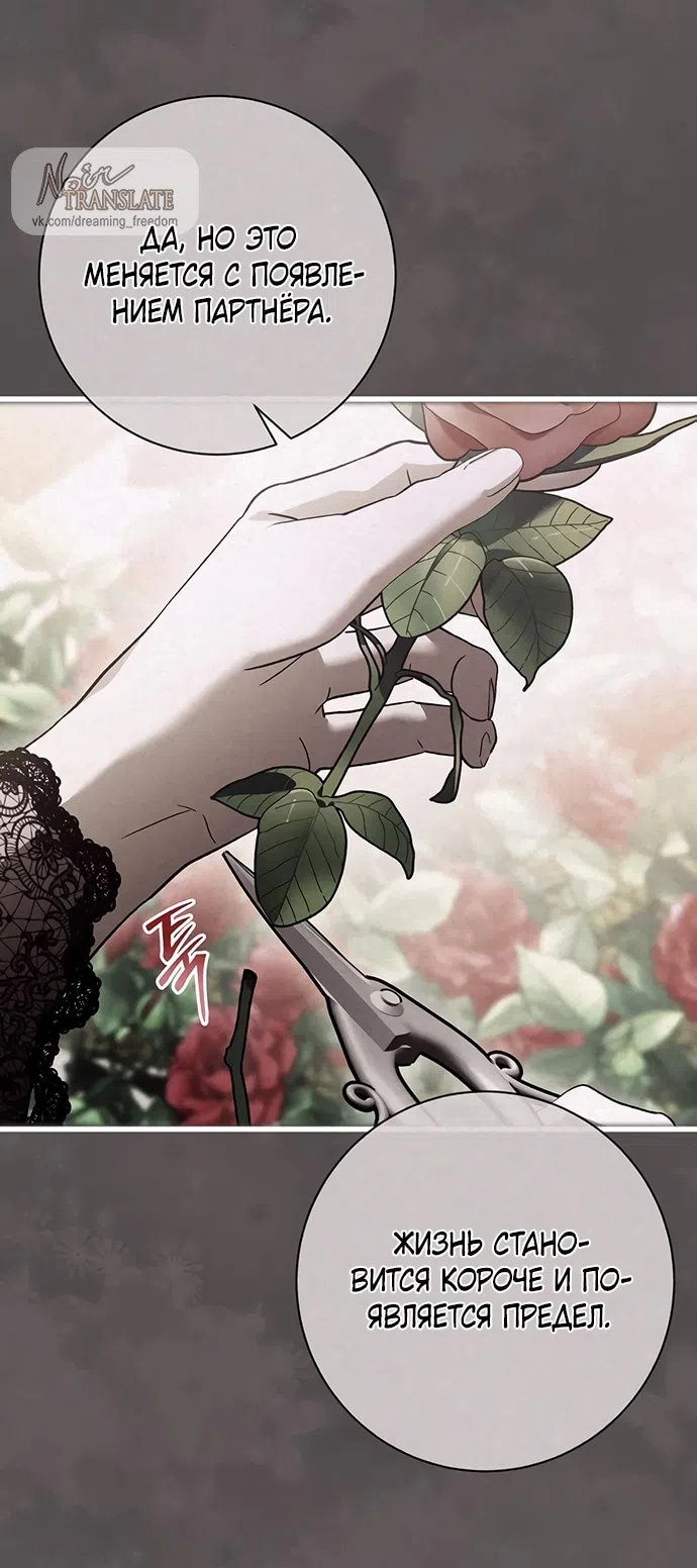 Страница 5 главы 37 манги Черная цепь / Black Chains